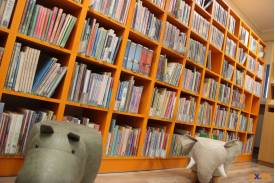 Wyremontowana biblioteka czeka na lepsze czasy  / fot. MSZ