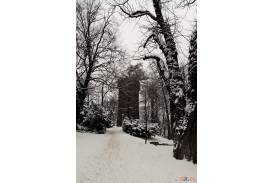 Zimowy spacer na Wzgórze Zamkowe w Cieszynie