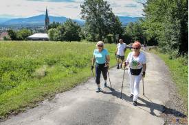 Nordic Walking na Górnym Borze