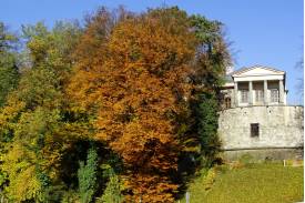 Koloryt  jesienny w Cieszynie (2021)