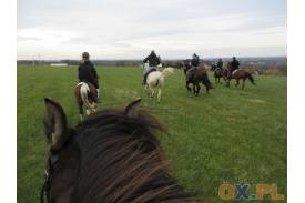 Hubertus w Klubie Jeździeckim Cieszyn – Pastwiska