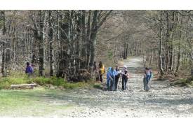 XII wiosenne sprzątanie  rezerwatu "Czantoria"