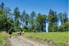 7. Bieg na Bucze & Nordic Walking