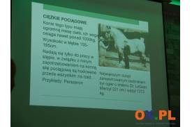 Konferencja "Konie w Beskidach/Koně v Beskydech"