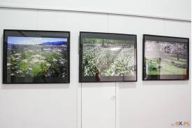 Wystawa fotografii Martina Podžornego 