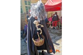 Spotkanie z czarownicami w Czeskim Cieszynie