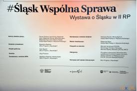 Wystawa "#ŚląskWspólnaSprawa" w cieszyńskiej Bibliotece