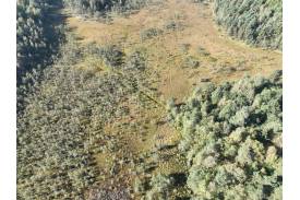 Ujęcie z drona fragmentu sieci rowów przecinających rezerwat 