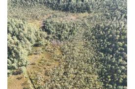 Ujęcie z drona fragmentu sieci rowów przecinających rezerwat 