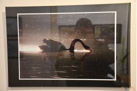 Spotkanie z Janem Gachem - autorem wystawy ''Ptaki'' w Foto Galerii w Cieszynie