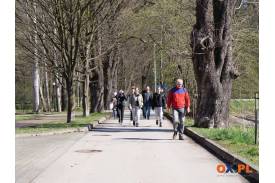 Wiosenne sprzątanie Rezerwatu Przyrody i terenów zielonych w Cieszynie
