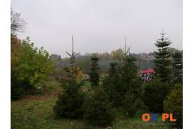 „Powrót do korzeni” – spotkanie z naturą, historią i tradycją!