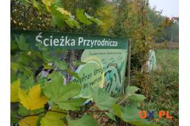 „Powrót do korzeni” – spotkanie z naturą, historią i tradycją!