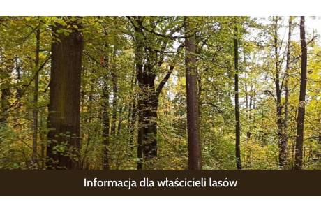 Zdjęcie przedstawia las z napisem "Informacja dla właścicieli lasów"