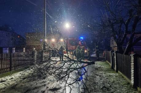 Strażacy wyjeżdżali do powalonych drzew i gałęzi fot. Archiwum ox.pl/ OSP MNICH