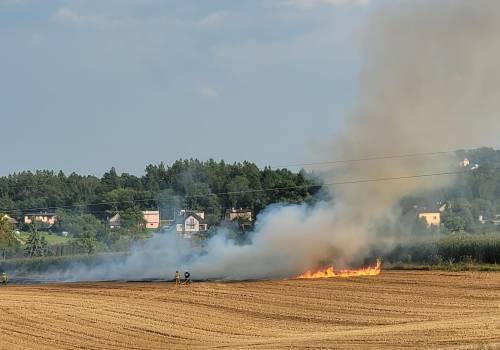 Pożar ścierniska w Hażlachu, fot. OSP Hażlach/FB