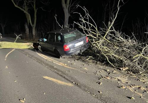 Drzewo spadło na samochód, fot. OSP Drogomyśl