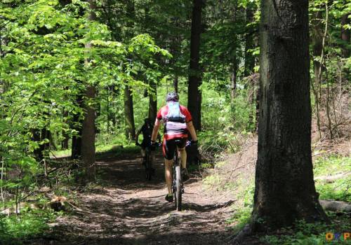 Zanim wsiądziesz na rower, przypomnij sobie podstawowe zasady i przepisy, fot. arch.ox.pl