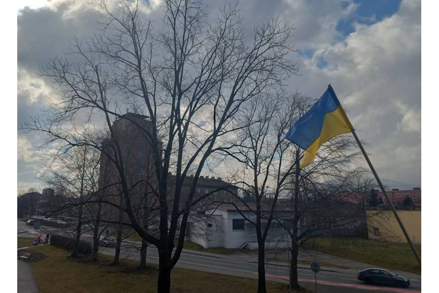 Flaga ukrainy na tle drzew i budynków jesieńą