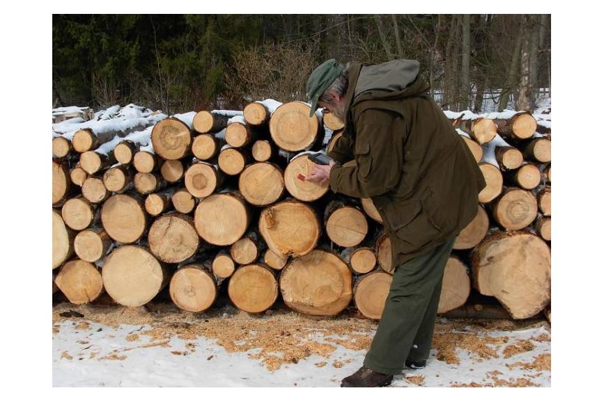 Zdjęcie przedstawia mężczyznę obok stosu z drewnem