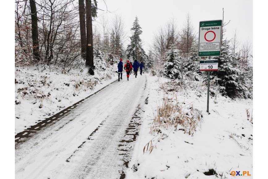 Zdjęcie przedstawia ośnieżony teren leśny z droga pośrodku i tabliczką oznaczającą leśną trasę narciarstwa biegowego w Istebnej Kubalonce